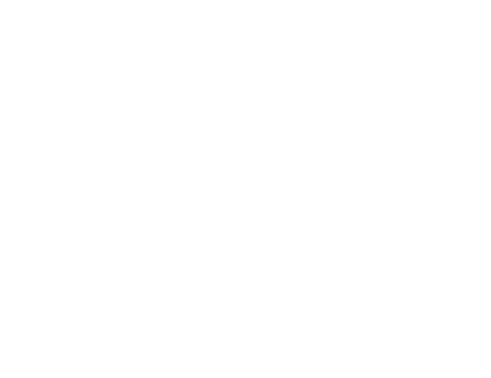 Logo MN Media
